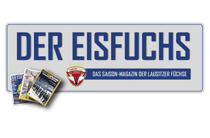 Der Eisfuchs